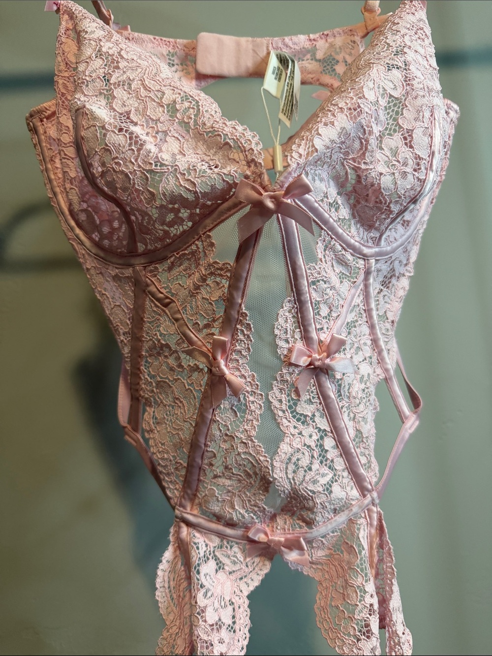 For Love & Lemons Pink Lace Teddy Bodysuit